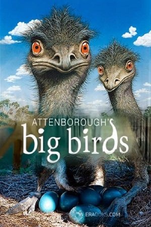 A nagytestű madarak nyomában David Attenborough-val poszter