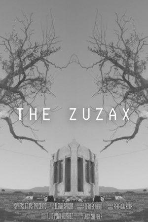 The Zuzax poszter