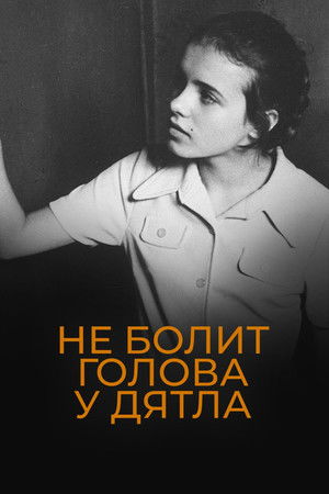 Не болит голова у дятла poszter