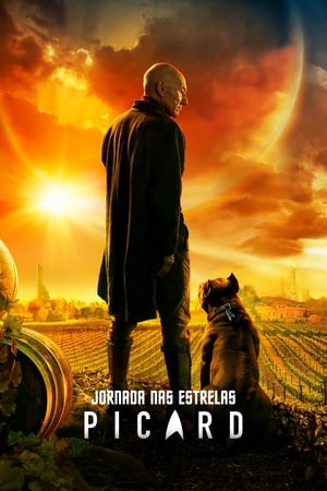 Star Trek: Picard poszter