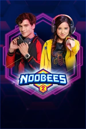 NooBees poszter