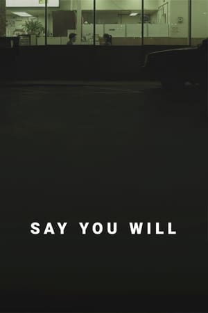 Say You Will poszter