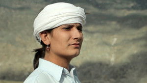 Noor háttérkép