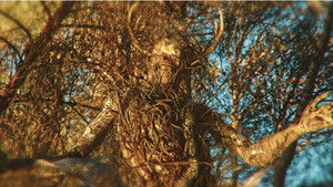 La Bestia en el Bosque háttérkép