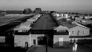 Les Résistants de Mauthausen háttérkép