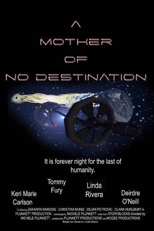 A Mother of No Destination poszter