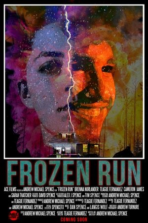 Frozen Run poszter