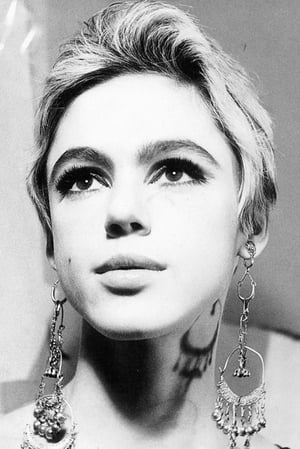 Edie Sedgwick profil kép