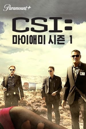 CSI: Miami-helyszínelők poszter