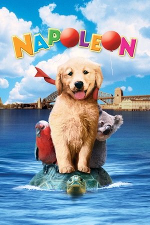 Napoleon - Kis kutya, nagy pácban