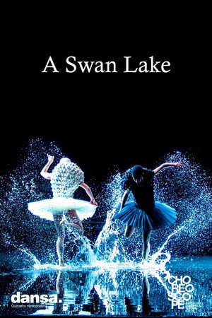 A Swan Lake poszter
