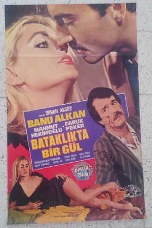 Bataklıkta Bir Gül poszter