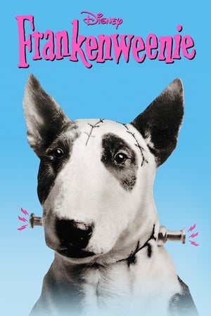 Frankenweenie poszter