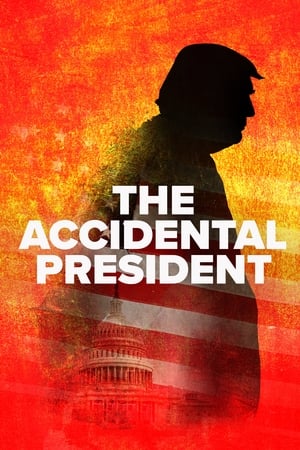 The Accidental President poszter