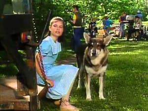 The Littlest Hobo 6. évad Ep.6 6. epizód