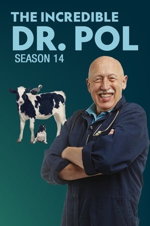 Dr. Pol állatklinikája