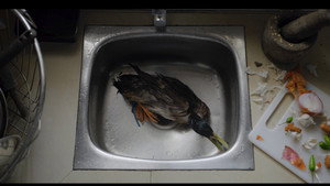 a duck tale háttérkép