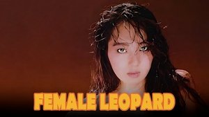 女豹 háttérkép