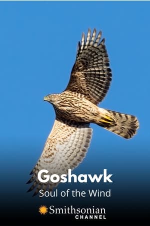 Goshawk - Soul of the Wind poszter