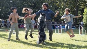 A kutyakiképző háttérkép