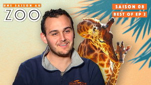 Une saison au zoo Season 8 Ep.4 4. epizód