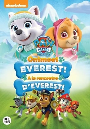 Paw Patrol: Meet Everest poszter