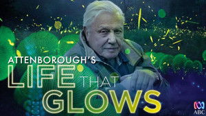 Attenborough's Life That Glows háttérkép