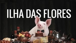 Ilha das Flores háttérkép