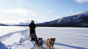 L'Appel du Grand Nord háttérkép