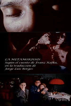 La metamorfosis poszter