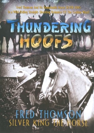 Thundering Hoofs