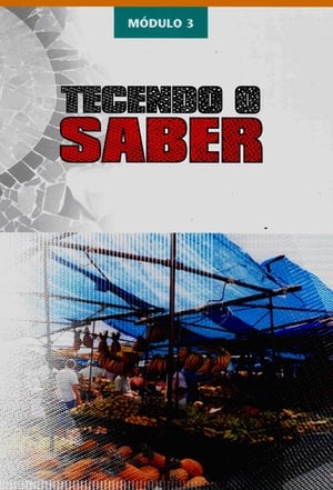 Tecendo o Saber