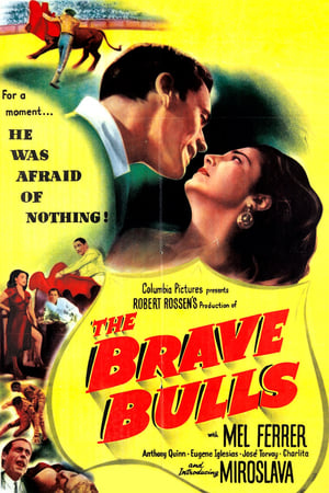 The Brave Bulls