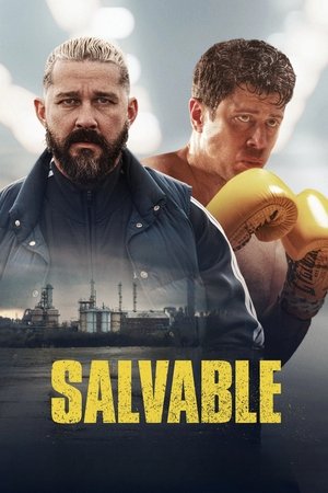 Sal - Véres boksz poszter