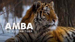 Amba: The Russian Tiger háttérkép