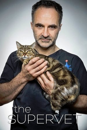 The Supervet: Noel Fitzpatrick