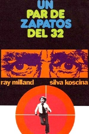 Un par de zapatos del 32