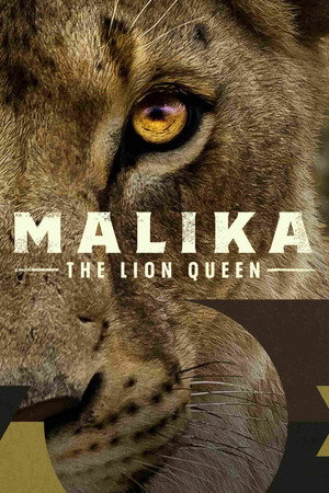 Malika: Az oroszlánkirálynő