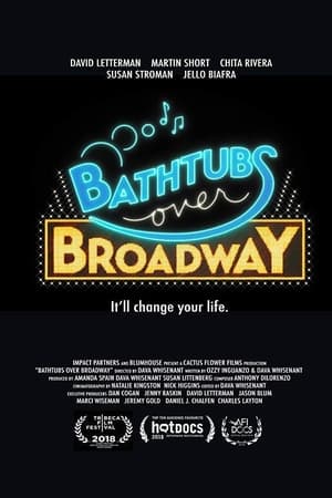 Bathtubs Over Broadway poszter