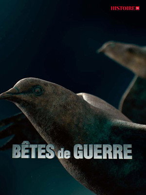 Bêtes de guerre poszter