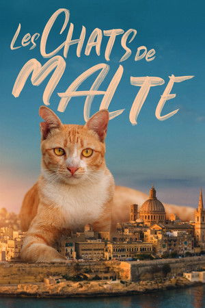 Cats of Malta poszter