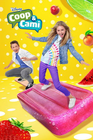 Coop & Cami Ask the World poszter
