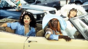 Wong Foo, kösz mindent! - Julie Newmar háttérkép