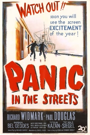 Panic in the Streets poszter