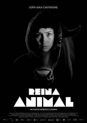 Reina animal poszter