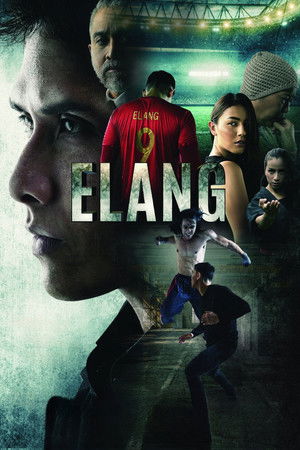 Elang poszter