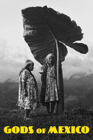 Dioses de México