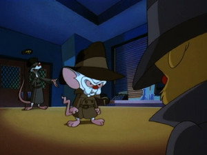 Pinky and the Brain 3. évad Ep.5 5. epizód