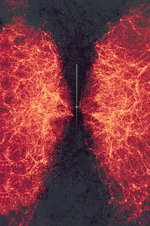 data-verse 1