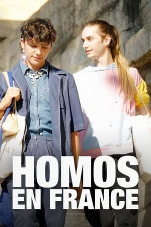 Homos en France poszter